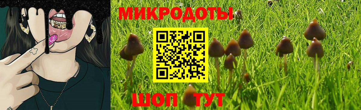 сколько стоит  Галлюциногенные грибы GOLDEN TEACHER  Ростов Великий  Вход с VPN  Псилоцибиновые грибы Cubensis 