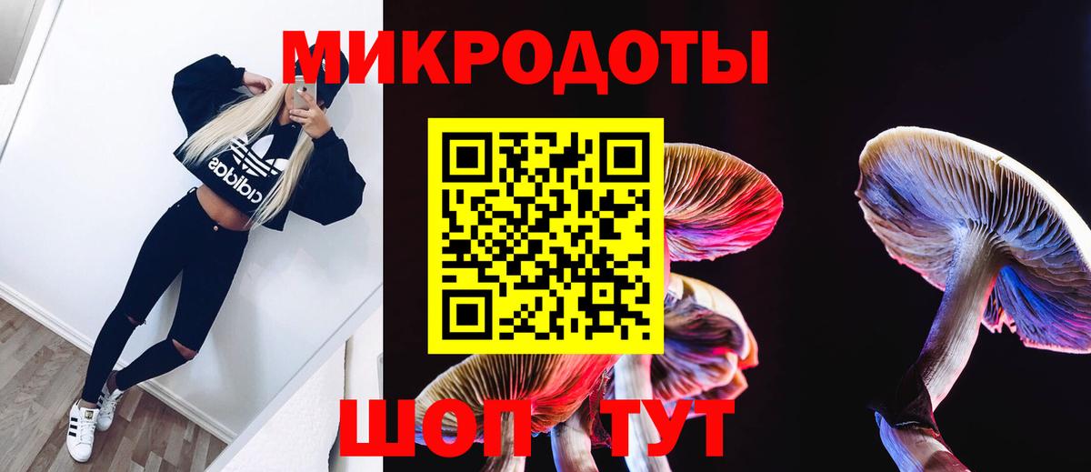 Ростов Великий  Галлюциногенные грибы Magic Shrooms  Вход с VPN 