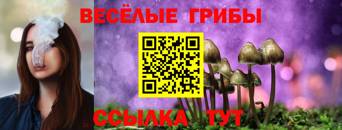 Псилоцибиновые грибы Cubensis Ростов Великий