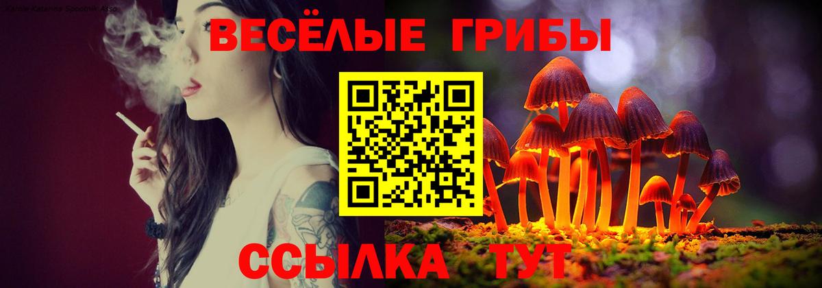 Галлюциногенные грибы Psilocybine cubensis Ростов Великий
